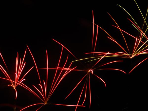 IMG_5564