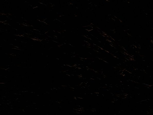 IMG_5637